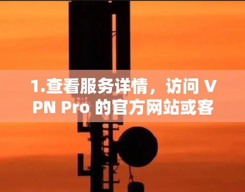 1.查看服务详情，访问 VPN Pro 的官方网站或客户端，查看其节点测试结果