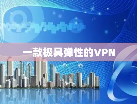 一款极具弹性的VPN