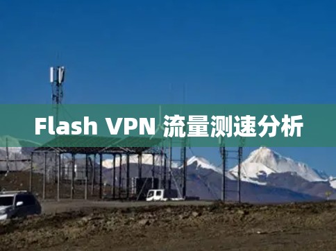 Flash VPN 流量测速分析