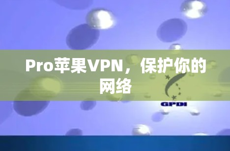 Pro苹果VPN，保护你的网络