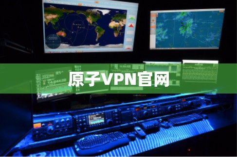 原子VPN官网