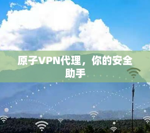 原子VPN代理，你的安全助手