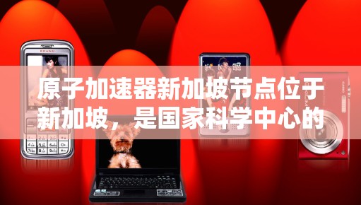 原子加速器新加坡节点位于新加坡，是国家科学中心的一部分，主要致力于原子物理和核物理学的研究。以下是关于该加速器的详细介绍