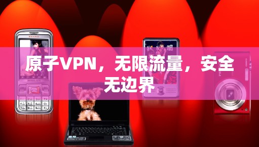 原子VPN，无限流量，安全无边界