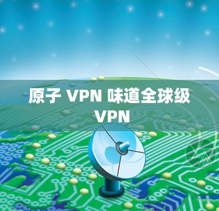 原子 VPN 味道全球级 VPN