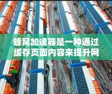 蜂窝加速器是一种通过缓存页面内容来提升网页加载速度的工具，但它在隐私保护方面存在一些潜在的风险。以下是对蜂窝加速器隐私保护问题的详细分析