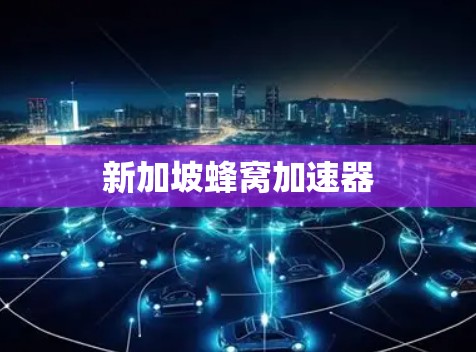 新加坡蜂窝加速器