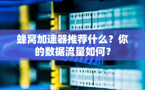 蜂窝加速器推荐什么？你的数据流量如何？