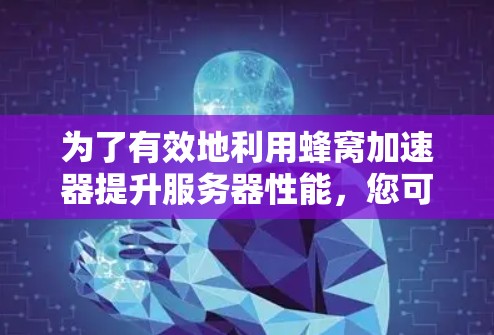 为了有效地利用蜂窝加速器提升服务器性能，您可以按照以下步骤进行操作