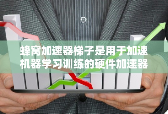 蜂窝加速器梯子是用于加速机器学习训练的硬件加速器，通常由多个梯子组成，每个梯子都有其特定的功能和用途。以下是关于蜂窝加速器梯子的详细介绍