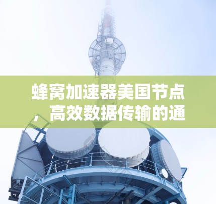 蜂窝加速器美国节点，高效数据传输的通信解决方案