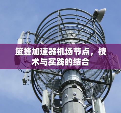 篮蜂加速器机场节点，技术与实践的结合