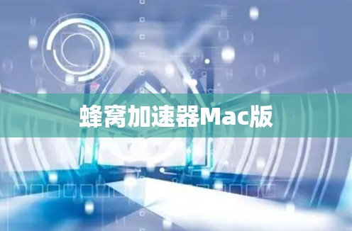 蜂窝加速器Mac版