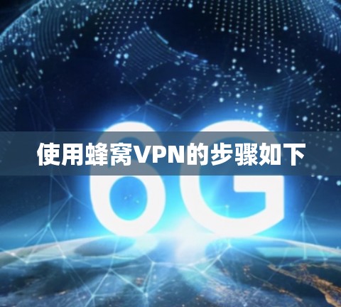 使用蜂窝VPN的步骤如下