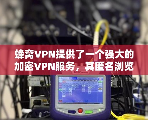 蜂窝VPN提供了一个强大的加密VPN服务，其匿名浏览功能允许用户访问特定网站或内容的匿名入口。以下是对该功能的详细解答