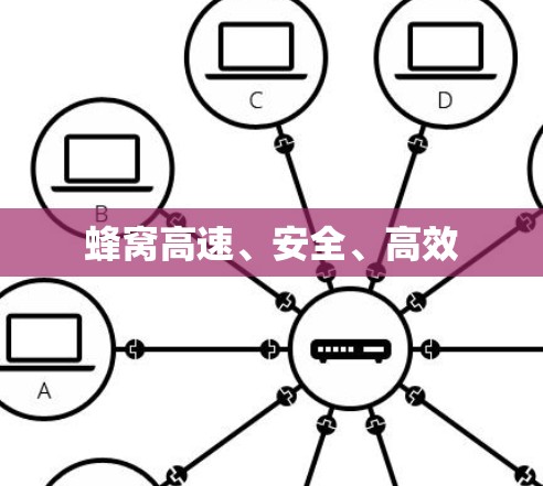 蜂窝高速、安全、高效
