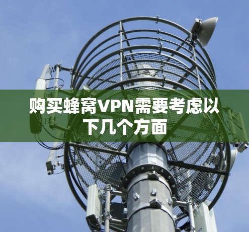 购买蜂窝VPN需要考虑以下几个方面