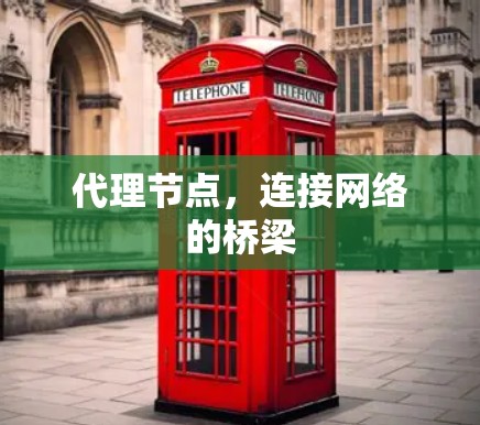代理节点，连接网络的桥梁
