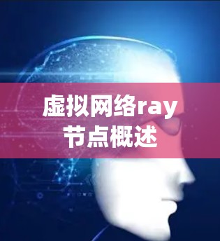 虚拟网络ray节点概述