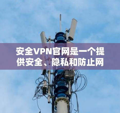 安全VPN官网是一个提供安全、隐私和防止网络犯罪的VPN服务的在线平台。以下是关于安全VPN的一些关键信息