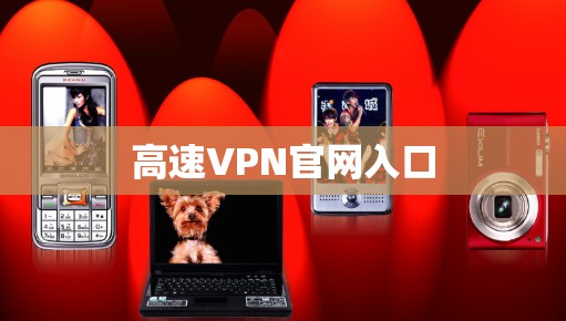 高速VPN官网入口