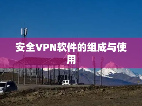 安全VPN软件的组成与使用