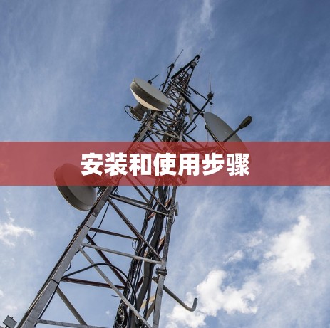 安装和使用步骤 安装和使用步骤