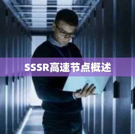 SSSR高速节点概述