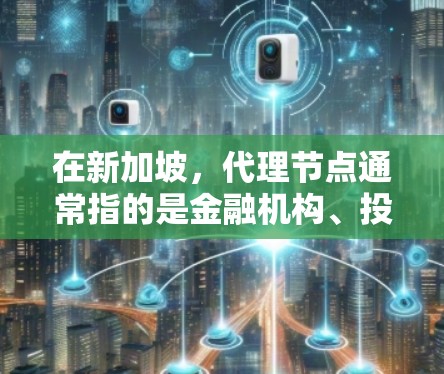 在新加坡，代理节点通常指的是金融机构、投资机构或专业咨询公司，这些机构通过提供服务来协助客户完成特定金融、投资或管理任务。以下是一些新加坡代理节点的常见类型和特点