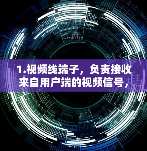 1.视频线端子，负责接收来自用户端的视频信号，转换为适合目标设备的视频格式（如MP4、AV等）