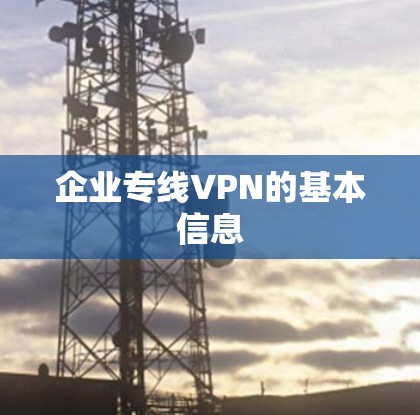 企业专线VPN的基本信息