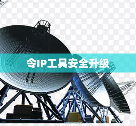 令IP工具安全升级