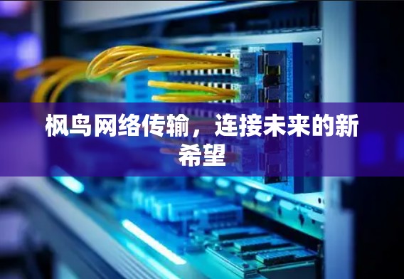 枫鸟网络传输，连接未来的新希望