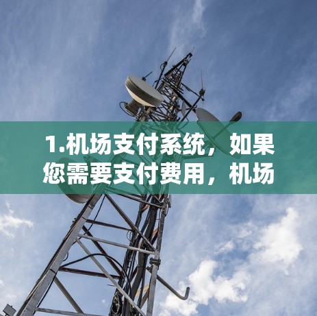 1.机场支付系统，如果您需要支付费用，机场可能会提供一个特定的支付账号。您需要登录该账号进行支付操作