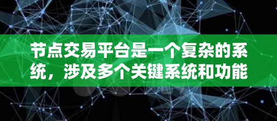 节点交易平台是一个复杂的系统，涉及多个关键系统和功能，包括交易、结算、风险管理、用户界面、支付、策略执行等。以下是对其功能和运作的详细总结