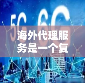 海外代理服务是一个复杂但重要的业务领域，涉及多个关键要素和策略。以下是对海外代理服务的详细总结
