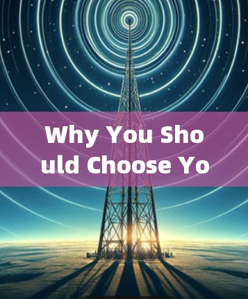 Why You Should Choose YouTube专用节点