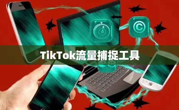TikTok流量捕捉工具