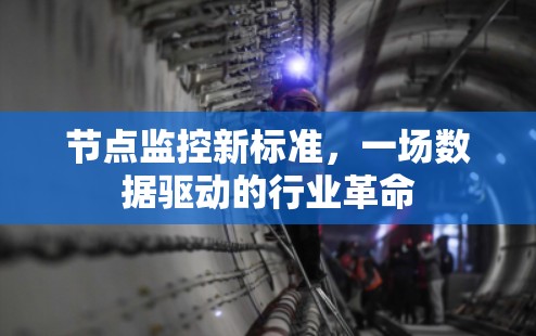 节点监控新标准，一场数据驱动的行业革命