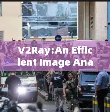 V2Ray:An Efficient Image Analysis Tool for Quantifying Blood Flow