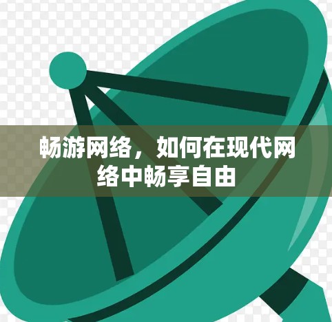 畅游网络，如何在现代网络中畅享自由