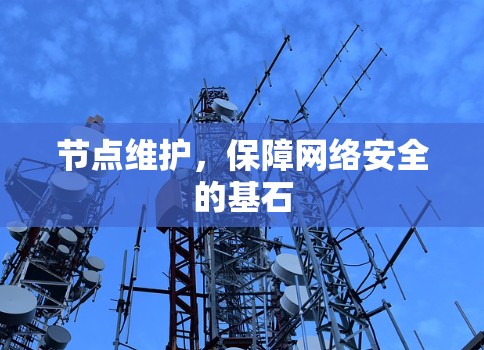 节点维护，保障网络安全的基石