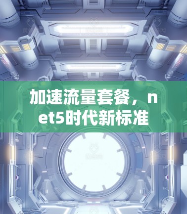 加速流量套餐，net5时代新标准
