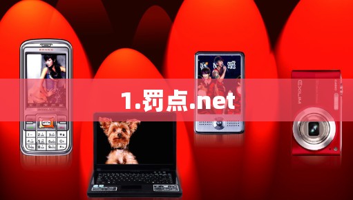 1.罚点.net