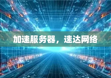 加速服务器，速达网络