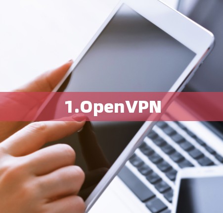1.OpenVPN