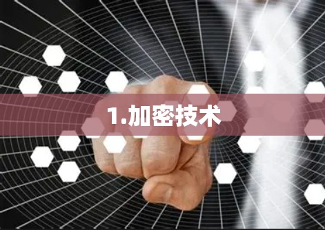 1.加密技术