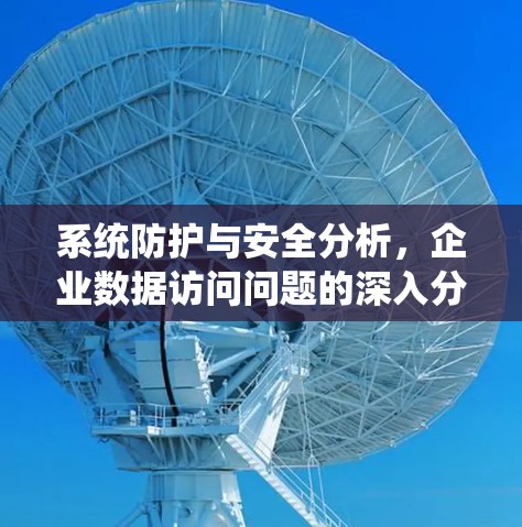 系统防护与安全分析，企业数据访问问题的深入分析