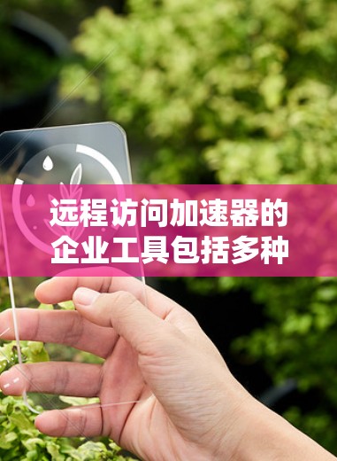 远程访问加速器的企业工具包括多种选择，每个工具各有其特定的功能和适用场景。以下是几种常见的选择
