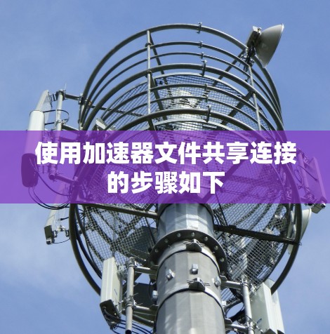 使用加速器文件共享连接的步骤如下